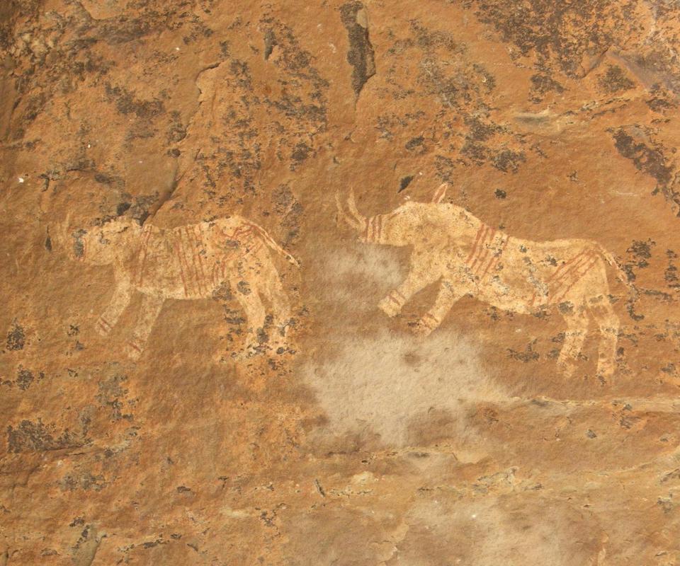 The early development of informatics can be seen in cave paintings.