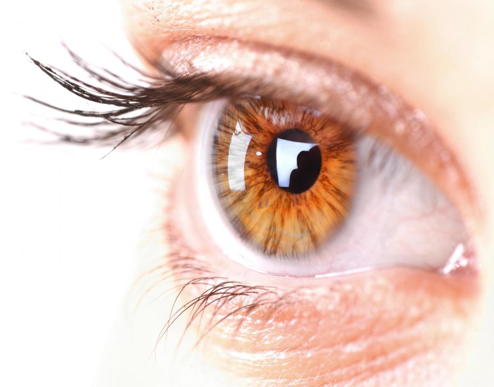 The human eye cannot distinguish between individual pixels.