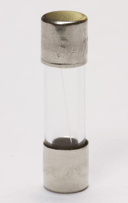 A fuse. Fuses are designed to burn out if too much current runs through a connected wire.