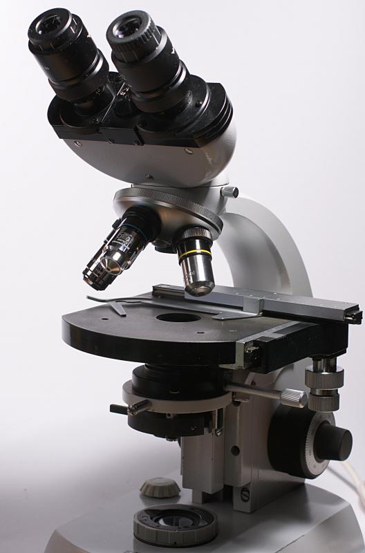 Binocular microscopes allow users to view objects using both eyes.