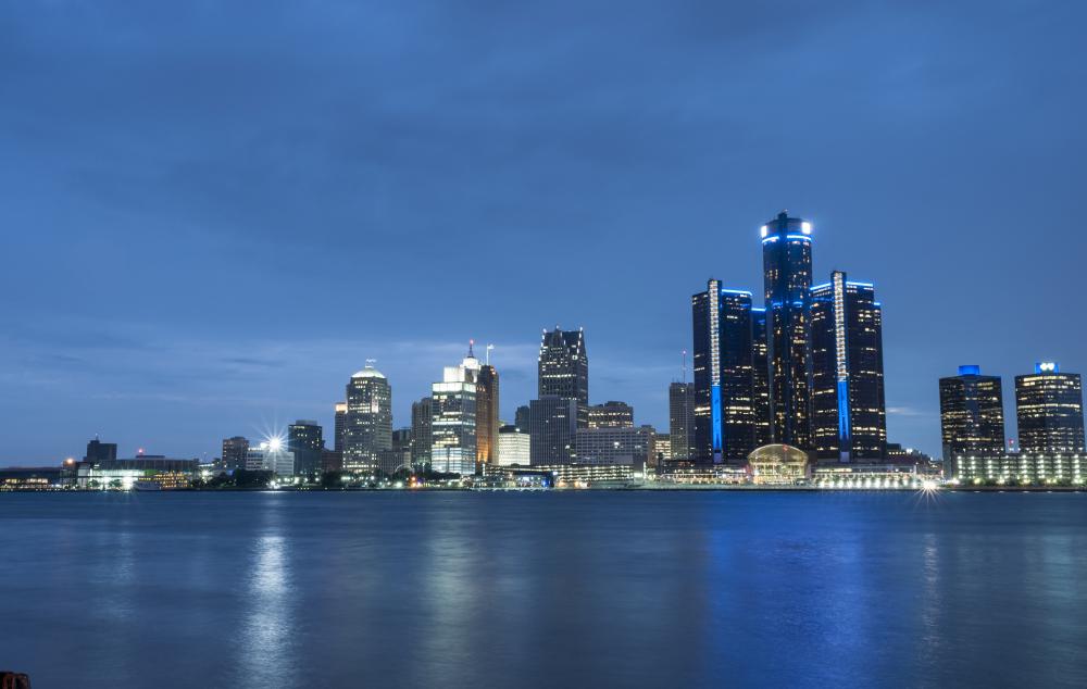 The area code for Detroit is 313.