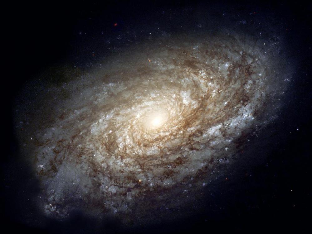 In astronomy, the shape of a galaxy might be described as a disc.
