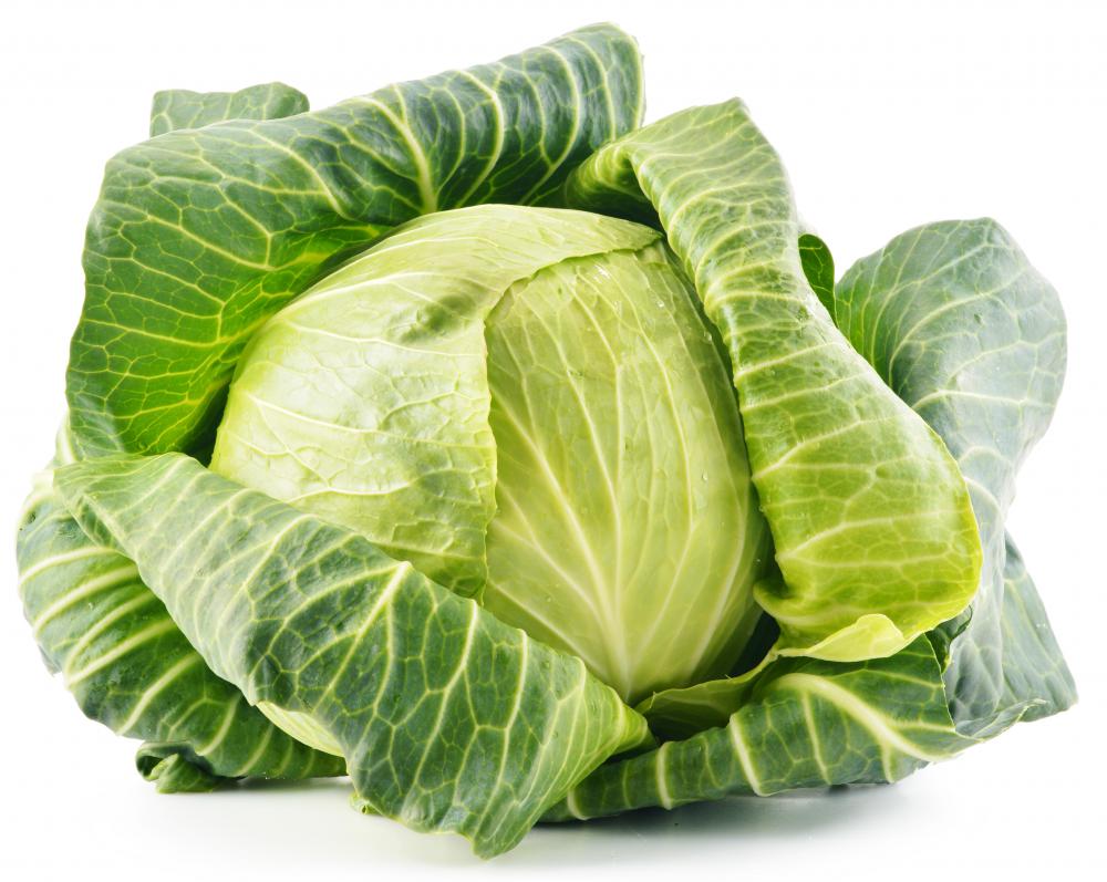 The word "cabbages" is one of the longest left handed keyboard words.
