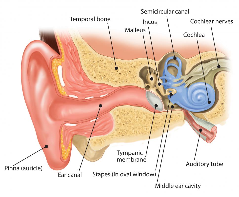 A micro earpiece will fit directly into a person's ear canal.