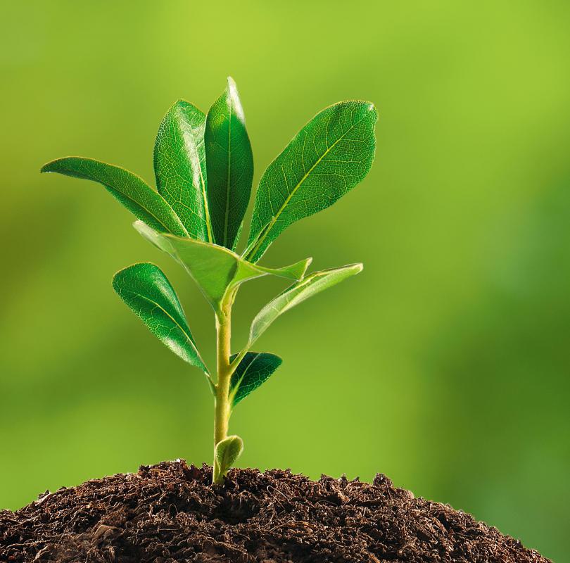 ArcGIS software is often used by people who work in ecology and the environmental sciences.