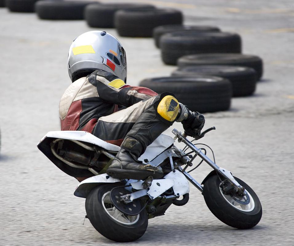 The trickle charger can be used on mini bikes.