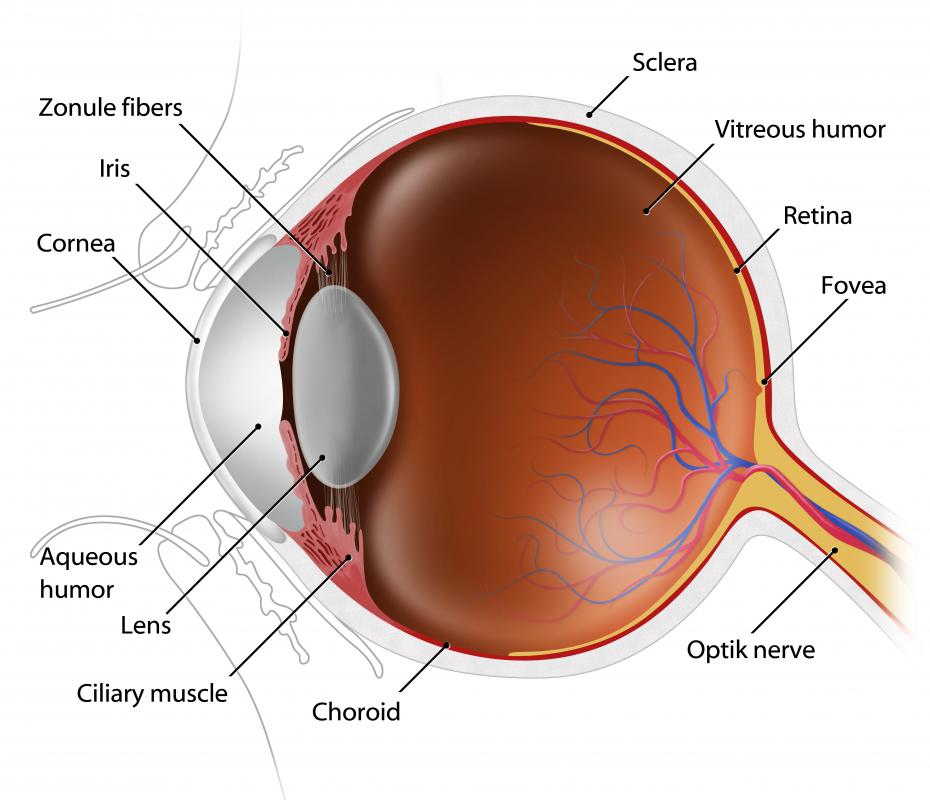 Misuse of a laser, including a green laser, can permanently damage a person's retina.