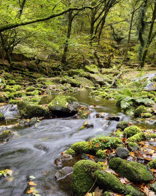 Sound machines often reproduce natural sounds, such as running water.