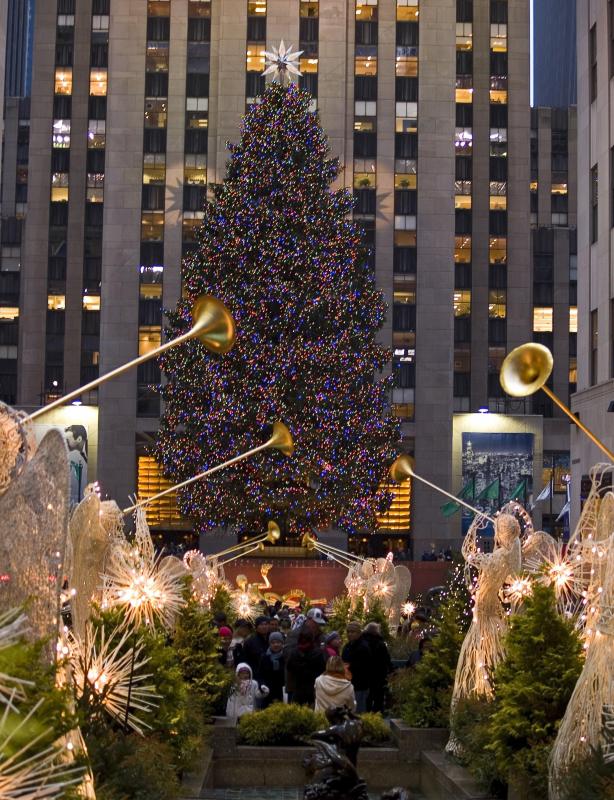 Christmas lights are made for both indoor and outdoor use.