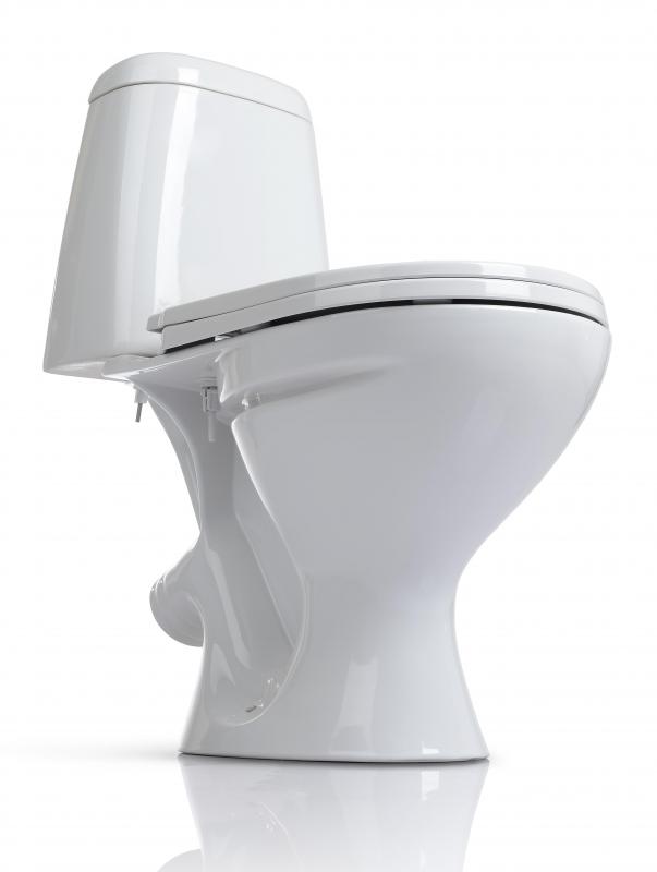 Plumber's snakes can be used to unclog toilets.