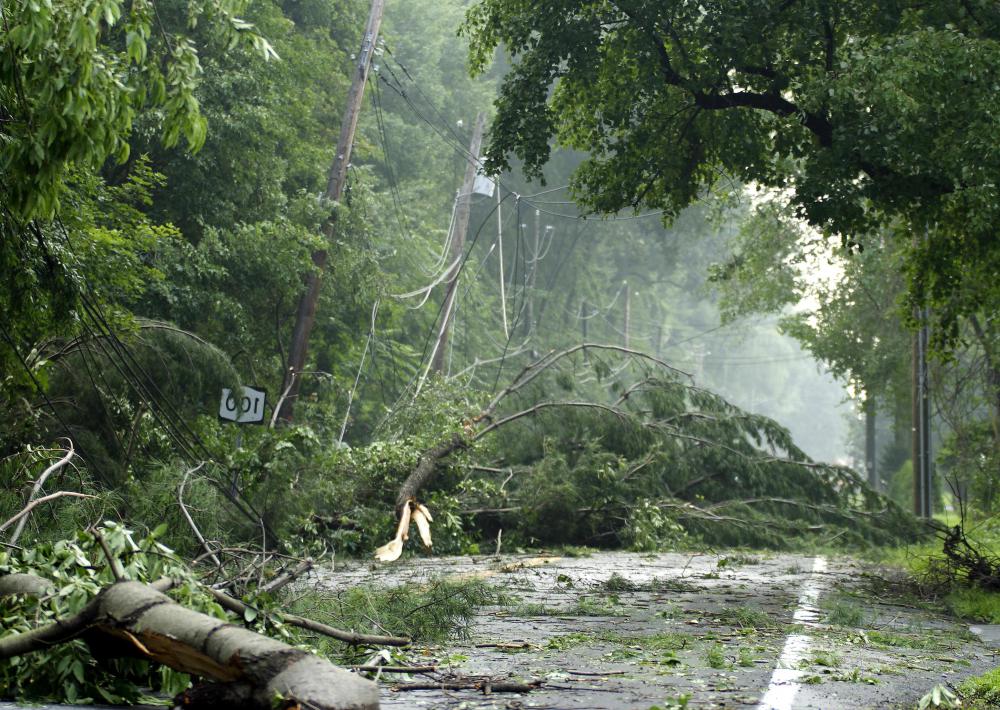 Generators can provide electricity when power lines are damaged from storms.