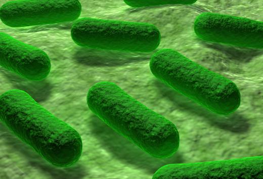 SAW resonators may reduce the amount of E. coli from infecting people through undercooked food.