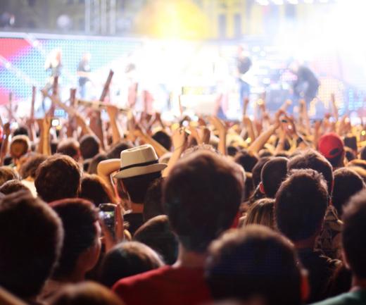 The howling sound created by feedback from a guitar, amplifier or microphone is familiar to most people who have attended a rock concert.