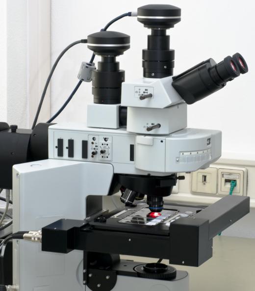 A light microscope.