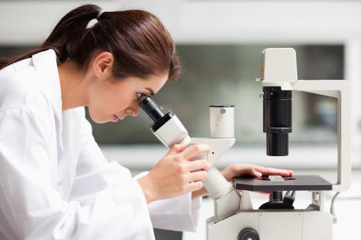 A woman using a binocular microscope.