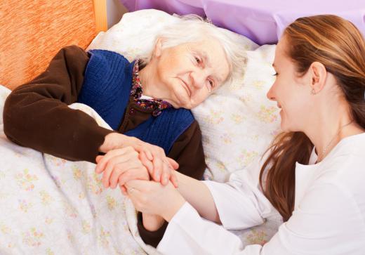 Granny Cams monitor the care the elderly are receiving.