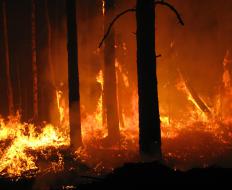 什么是火灾报警软件？ （附图片）