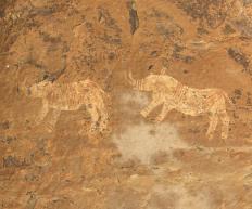 什么是信息学？ （附图片）