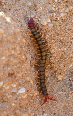 有哪些不同的天线类型？ （附图片）