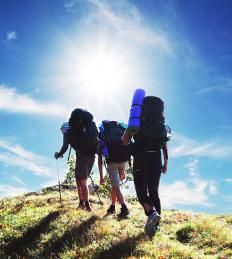 什么是液体指南针？ （附图）